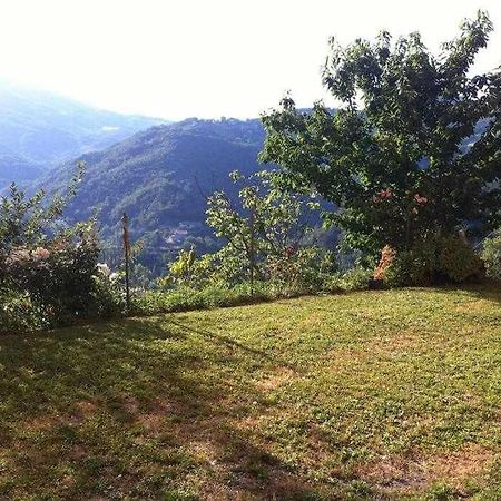 Ospitaci Appartamenti Di Campagna Le Rancole Valtopina Εξωτερικό φωτογραφία